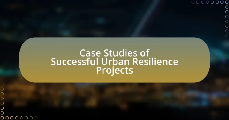 Case Studies of Successful Urban Resilience Projects