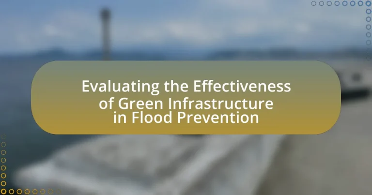 Evaluating the Effectiveness of Green Infrastructure in Flood Prevention