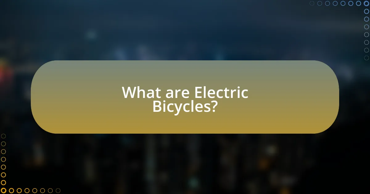 What are Electric Bicycles?