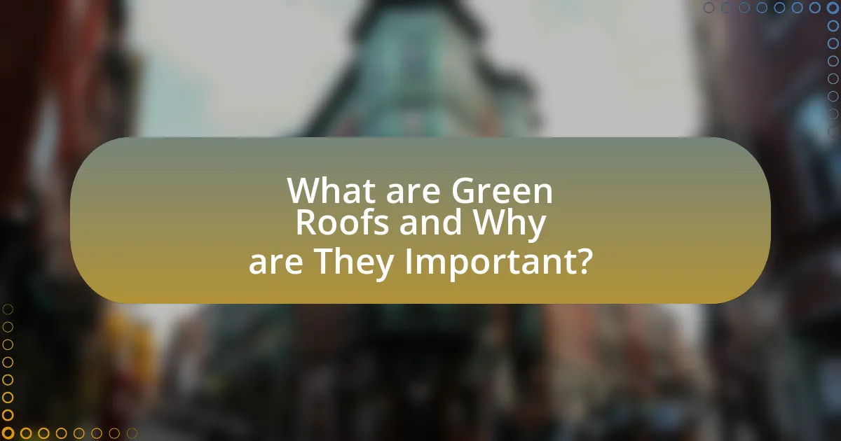 What are Green Roofs and Why are They Important?