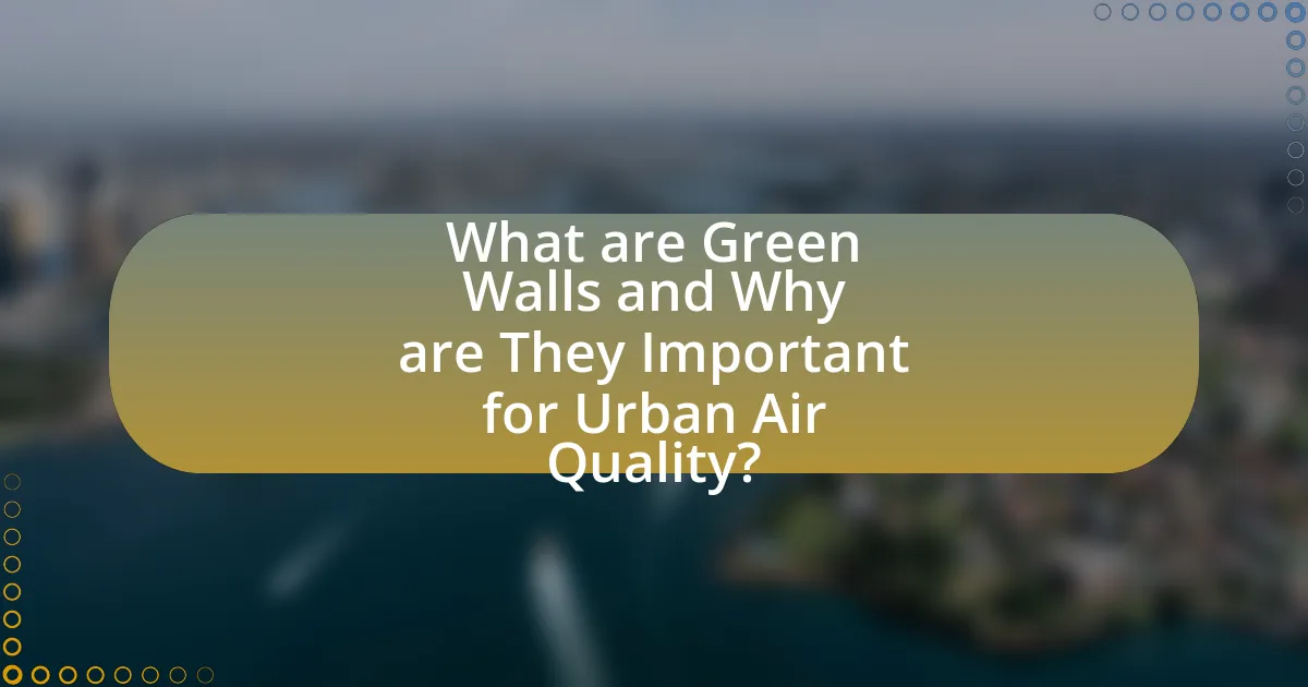 What are Green Walls and Why are They Important for Urban Air Quality?