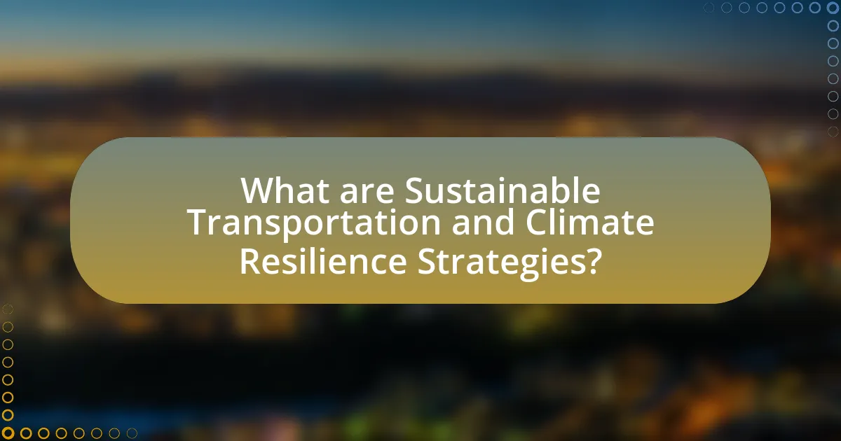 What are Sustainable Transportation and Climate Resilience Strategies?