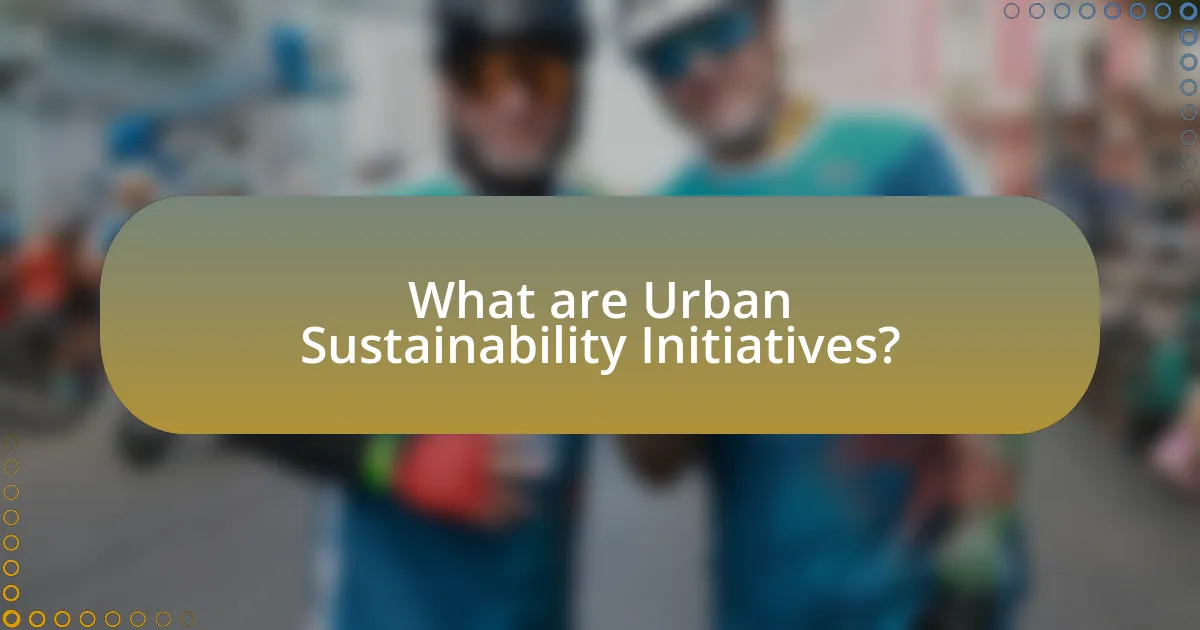 What are Urban Sustainability Initiatives?