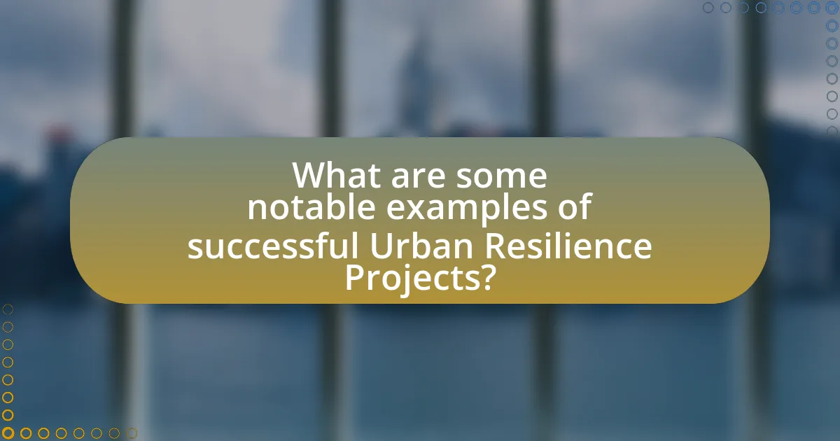 What are some notable examples of successful Urban Resilience Projects?