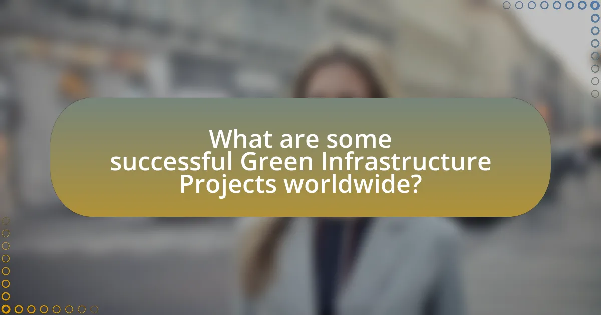 What are some successful Green Infrastructure Projects worldwide?