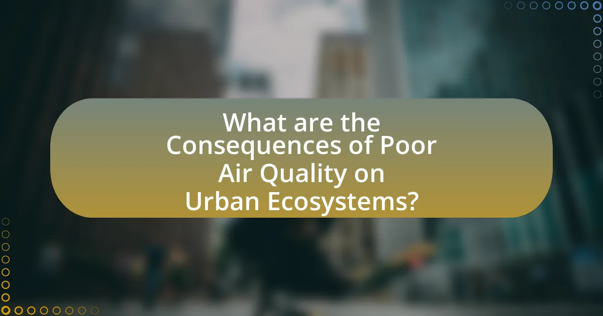 What are the Consequences of Poor Air Quality on Urban Ecosystems?