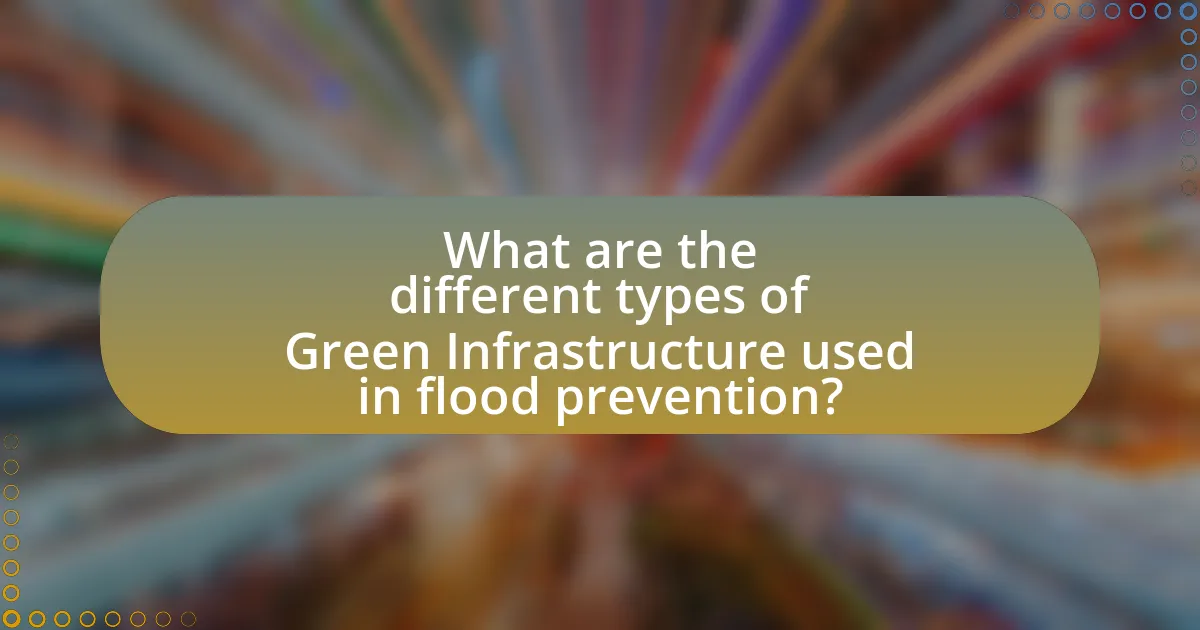 What are the different types of Green Infrastructure used in flood prevention?