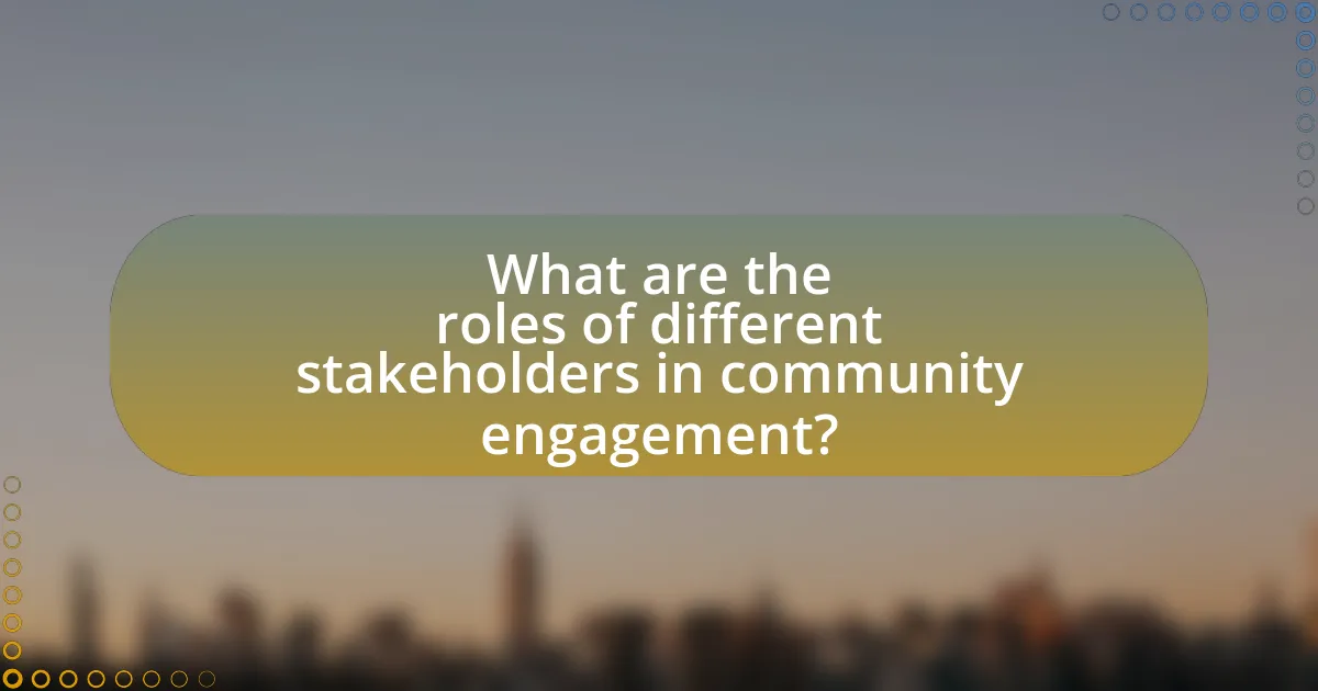 What are the roles of different stakeholders in community engagement?
