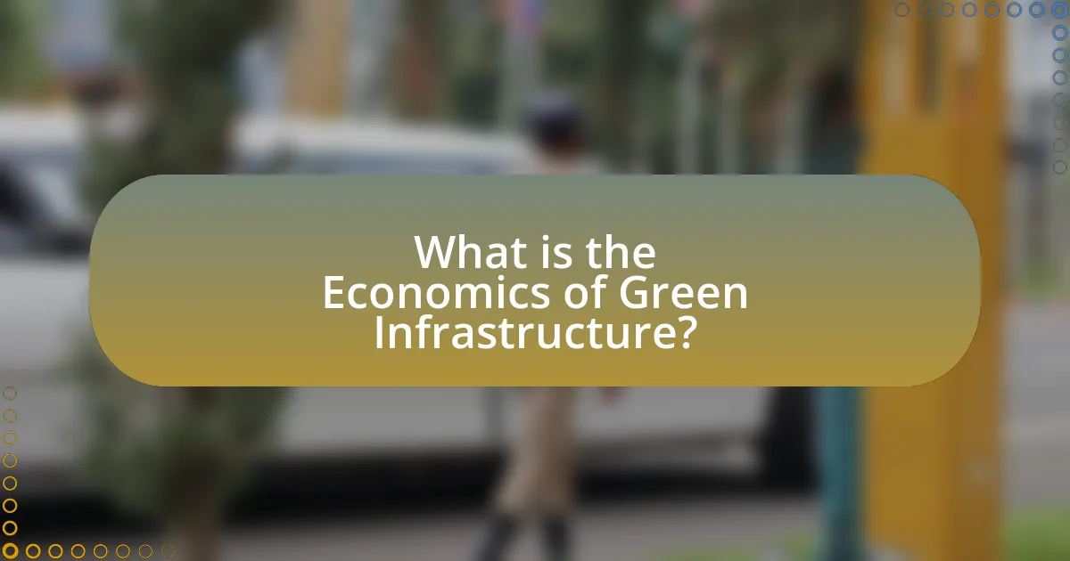 What is the Economics of Green Infrastructure?
