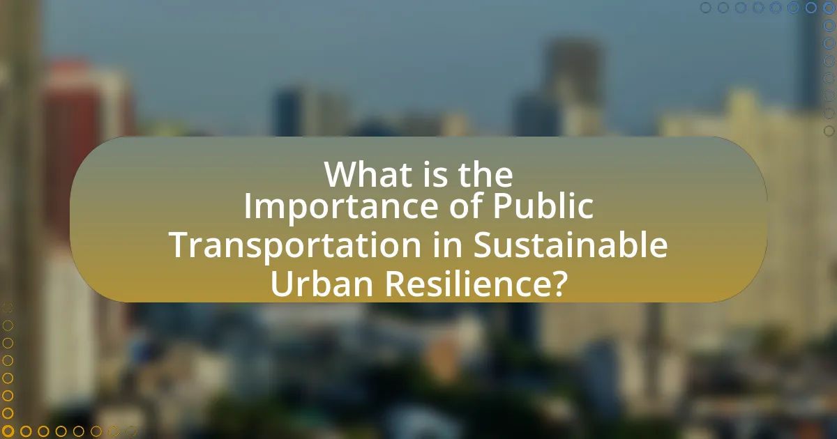 What is the Importance of Public Transportation in Sustainable Urban Resilience?