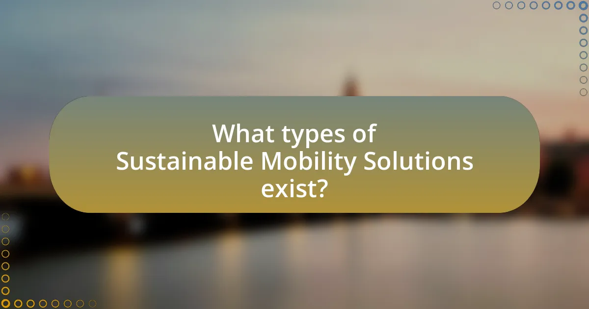 What types of Sustainable Mobility Solutions exist?